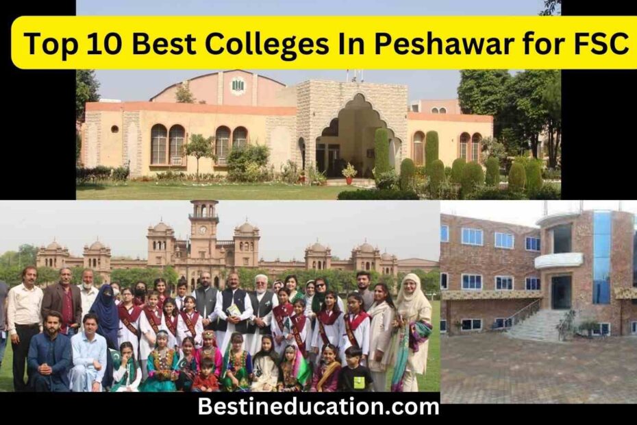 Top 10 Best Colleges In Peshawar for FSC