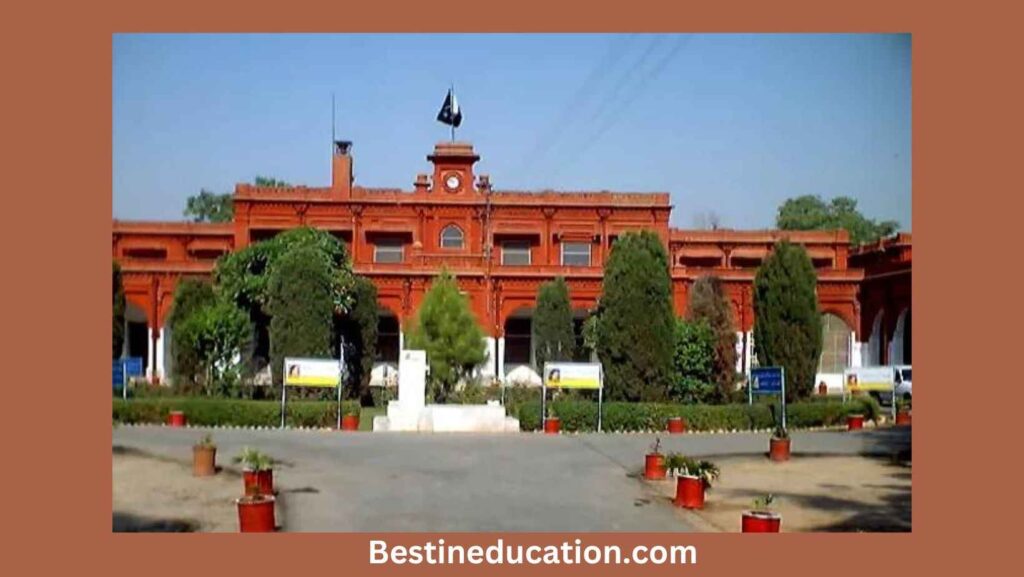 Government College University