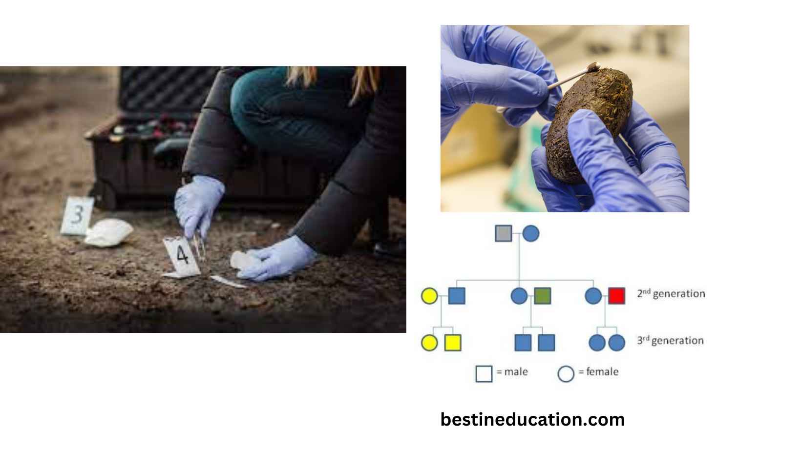 how is mitochondrial dna (mtdna) typing used in forensic science?