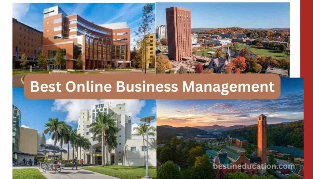 Best Online Business Management