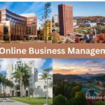 Best Online Business Management