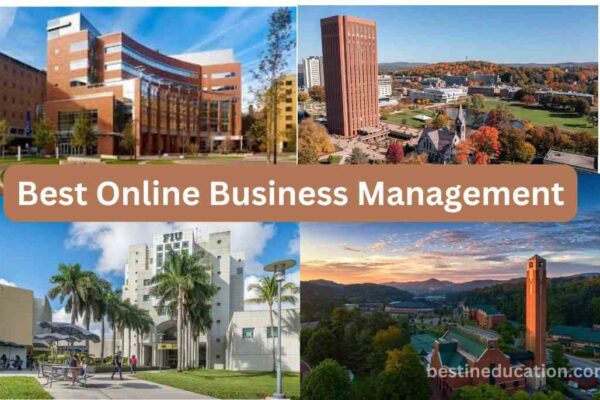 Best Online Business Management