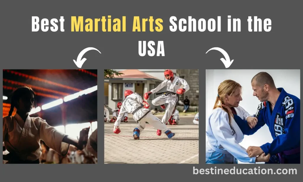 Best Martial Arts Schools in the USA
